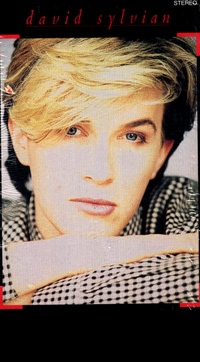 david sylvian