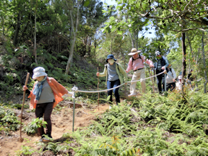 貝殻山に向けて